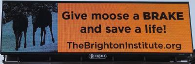 Billboard to watch out for moose in the canyon